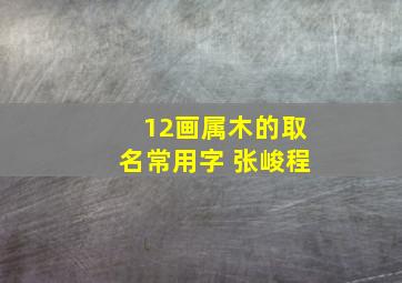 12画属木的取名常用字 张峻程